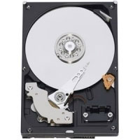 Western digital 320GB Caviar Blue (WD3200AAKS)